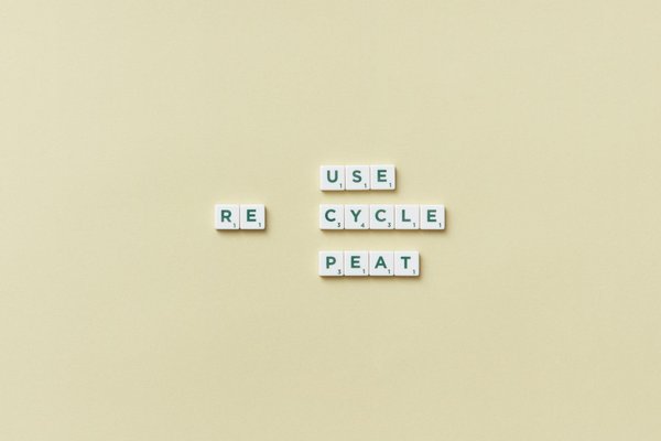 L'évolution de la justice sociale : un voyage historique captivant